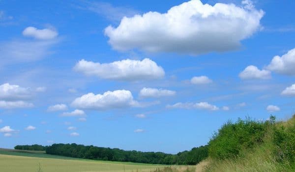 Article Journee Des Chemins 2011 68383079