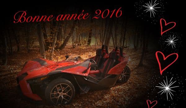 Bonne Annee 2016 Https T Co Wsptkudq8u