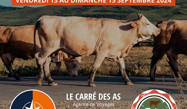 Foire De Beaucroissant