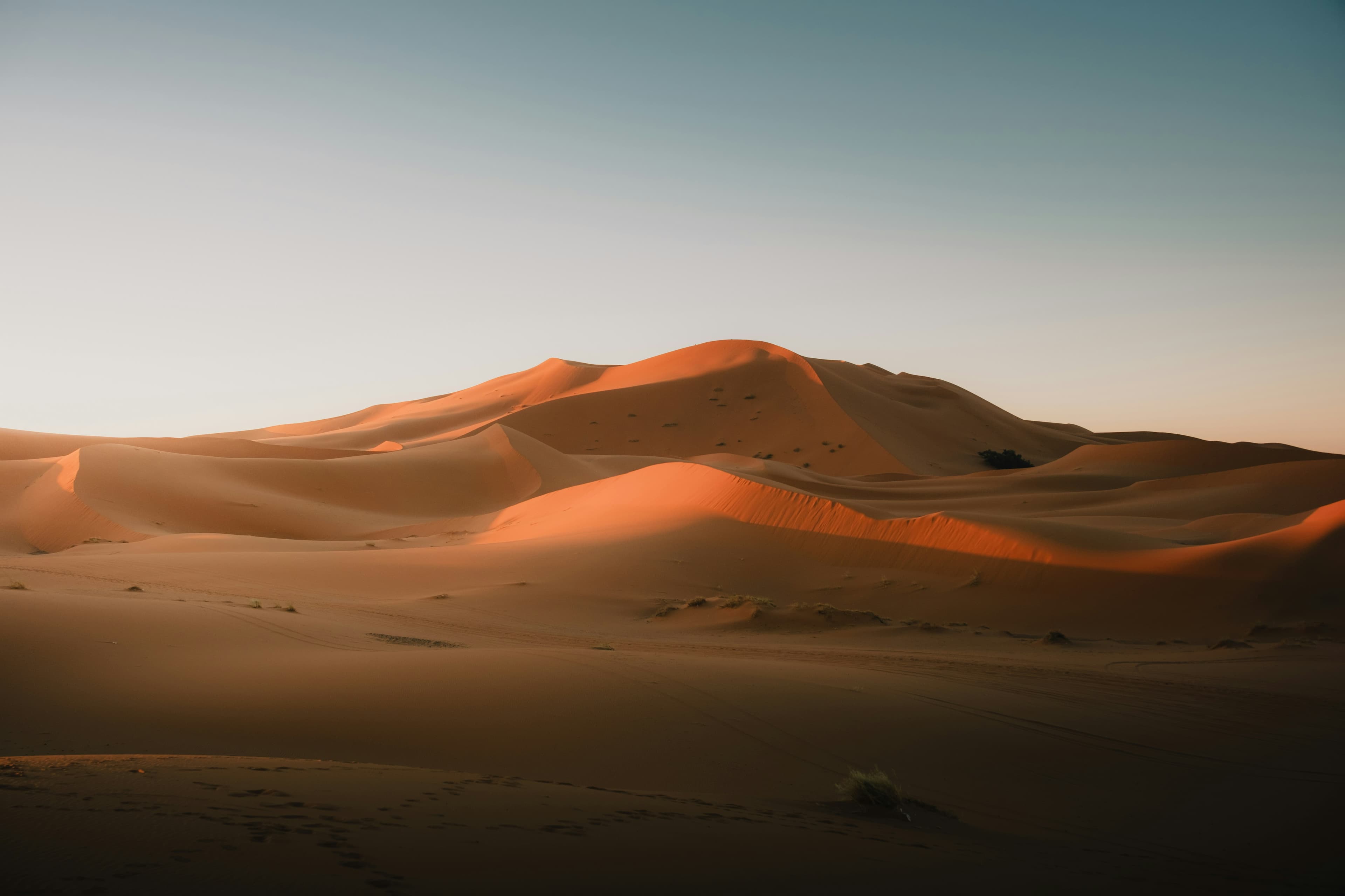 Carré des As - voyages motorisés