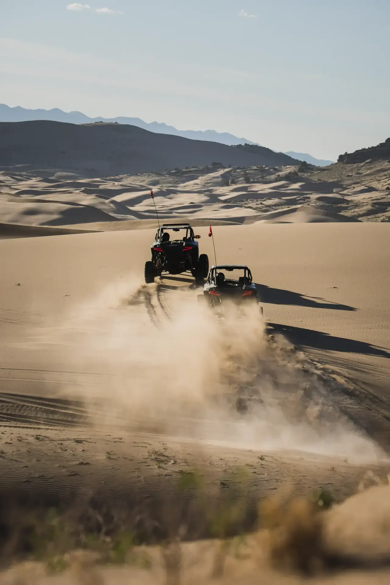 RZR lineup